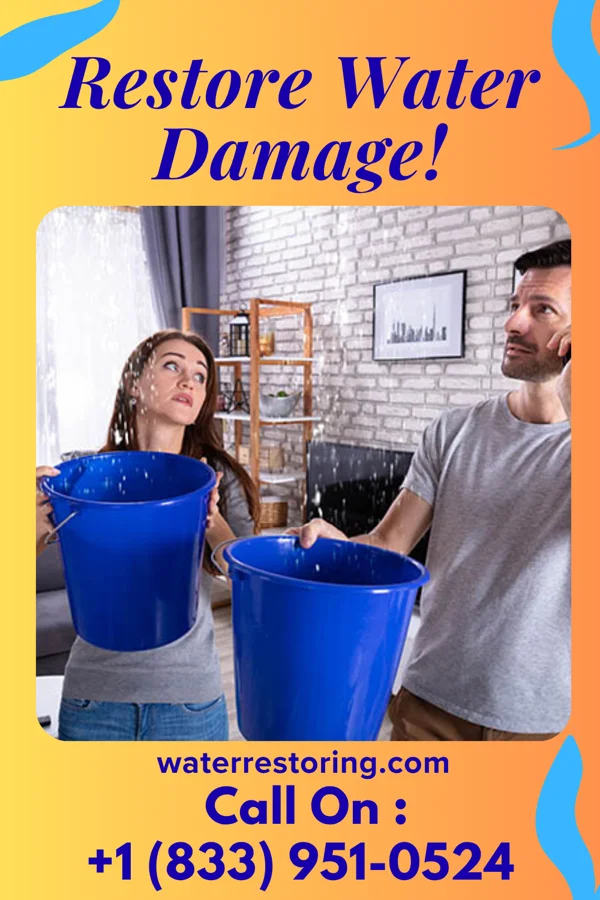 water restoration Best Water Solutions Pros Dale