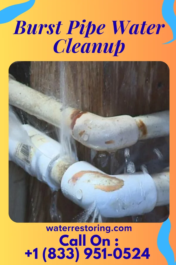 Burst Pipe Water Cleanup in Dale, PA