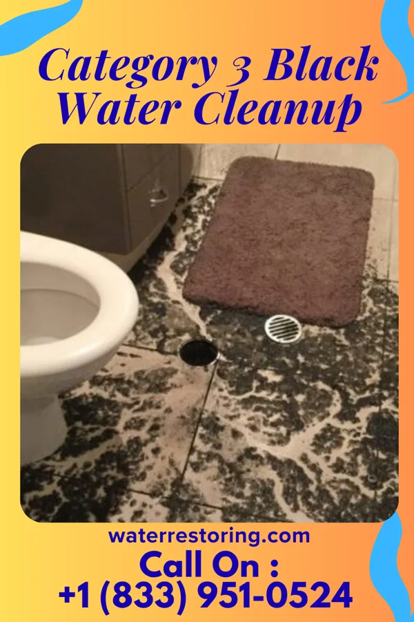 Category 3 Black Water Cleanup in Dale, PA
