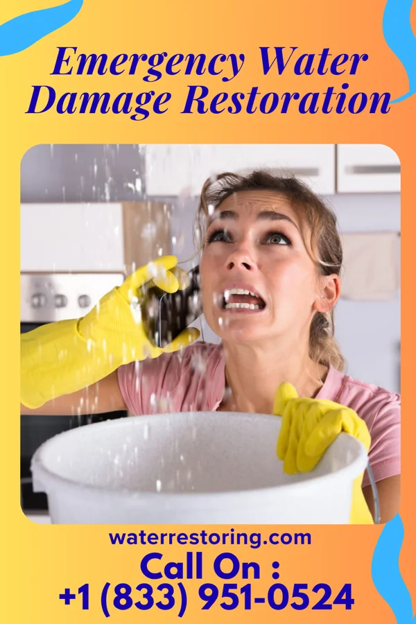 Emergency Water Damage Restoration in Dale, PA