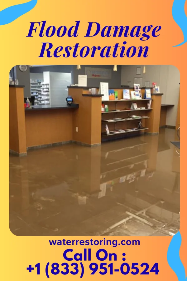 Flood Damage Restoration in Dale, PA