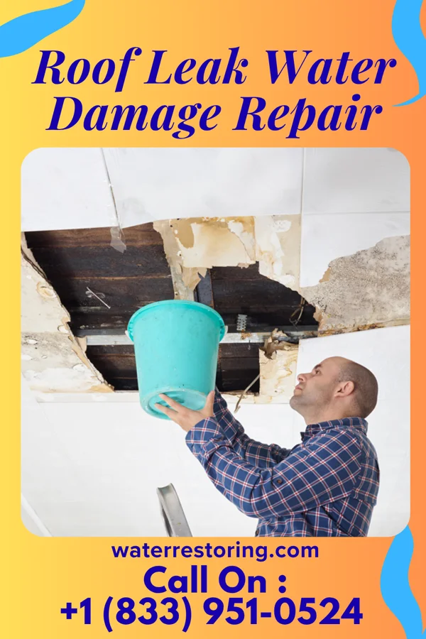 Roof Leak Water Damage Repair in Dale, PA