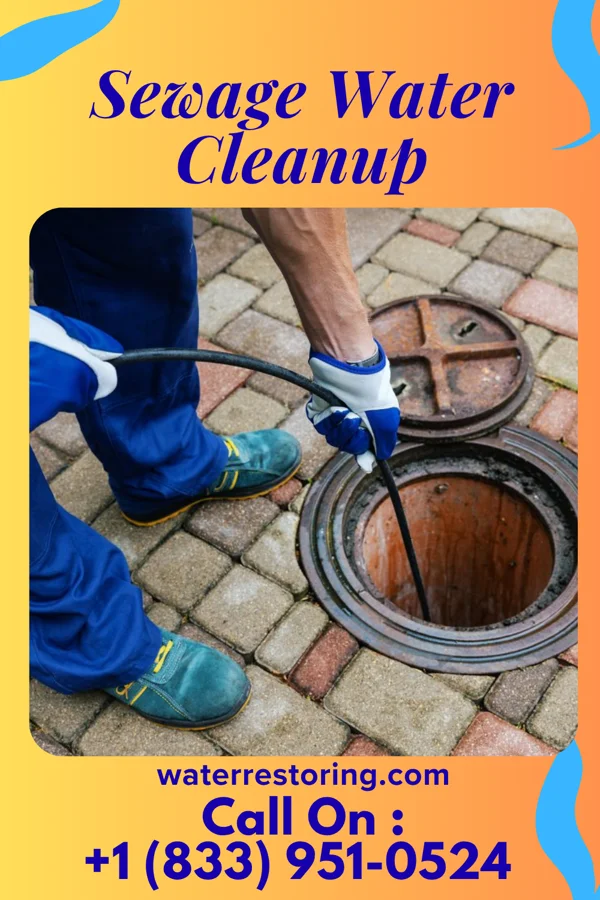 Sewage Water Cleanup in Dale, PA