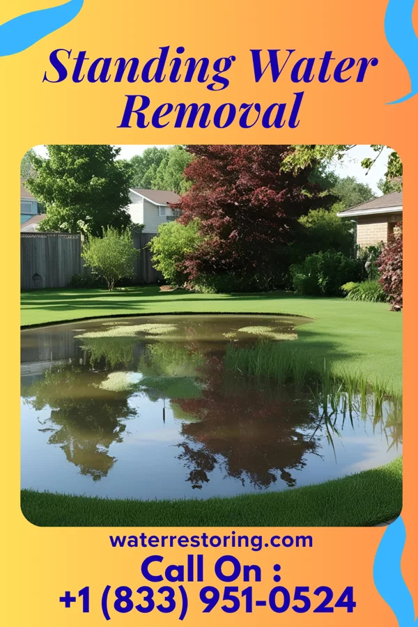 Standing Water Removal in Dale, PA